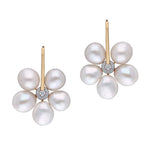 THE DAISY DROP EARRINGS